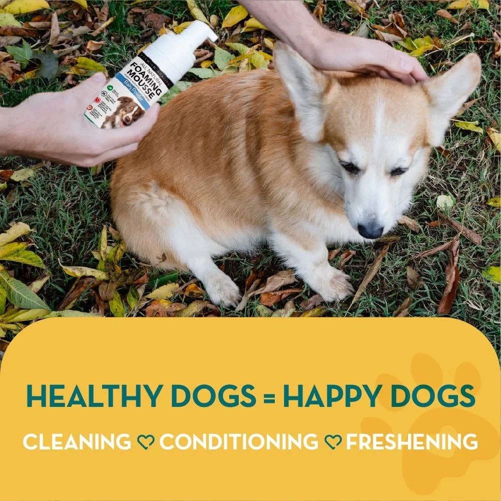 شامپو خشک سگ با رایحه پودر بچه The Healthy Dog Co - اسپری بدون نیاز به آبکشی برای سگ های بدبو - شامپو خشک بدون آب برای سگ ها - اسپری شامپو خشک سریع - مناسب برای توله سگ - 250 میلی لیتر