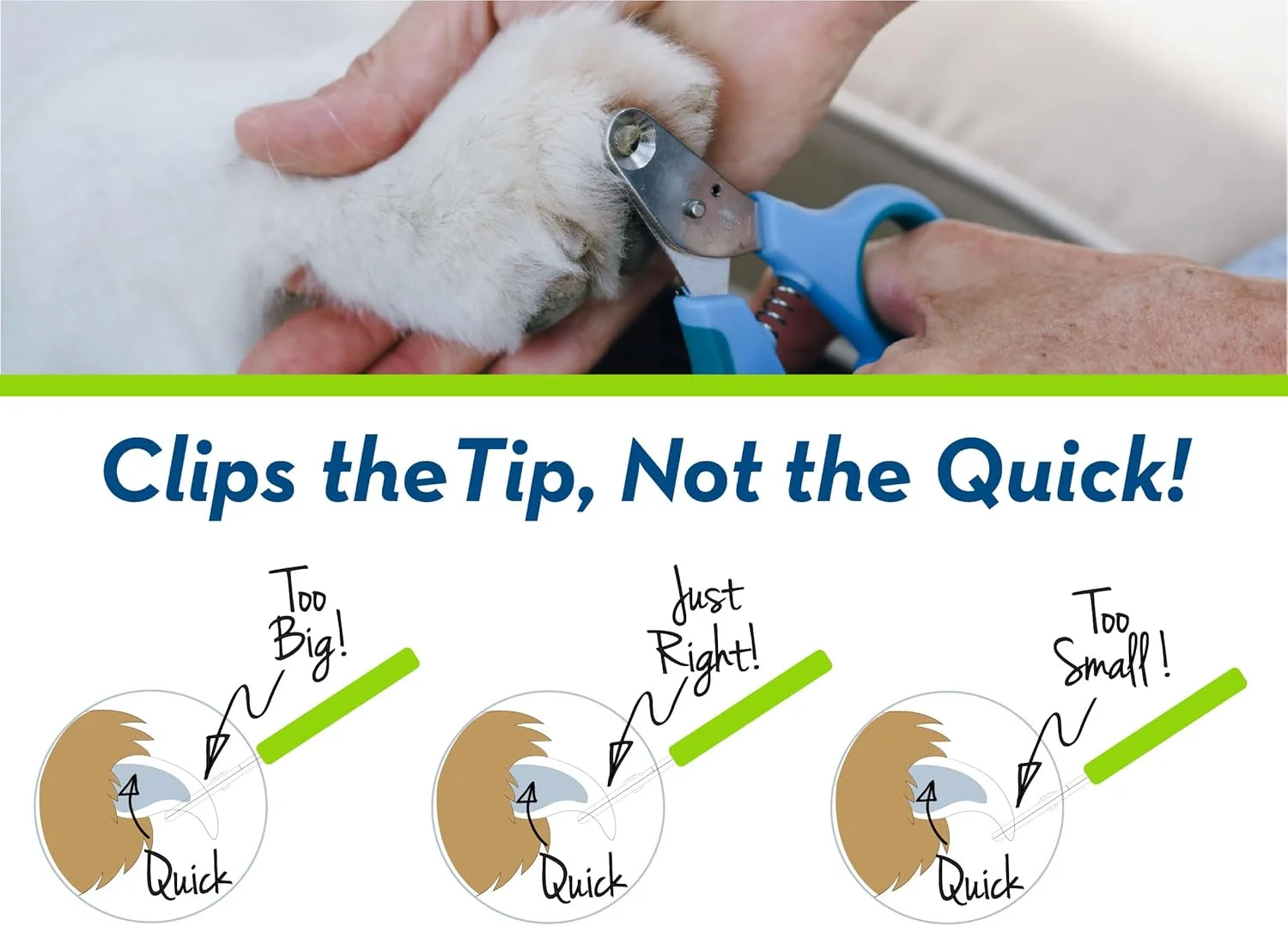 ناخن گیر حیوانات خانگی Zen Clipper، یک ناخن گیر انقلابی جدید است که برای کوتاه کردن فقط نوک ناخن طراحی شده است. رنگ مرجانی، 1.5 میلی متر (0.059 اینچ)