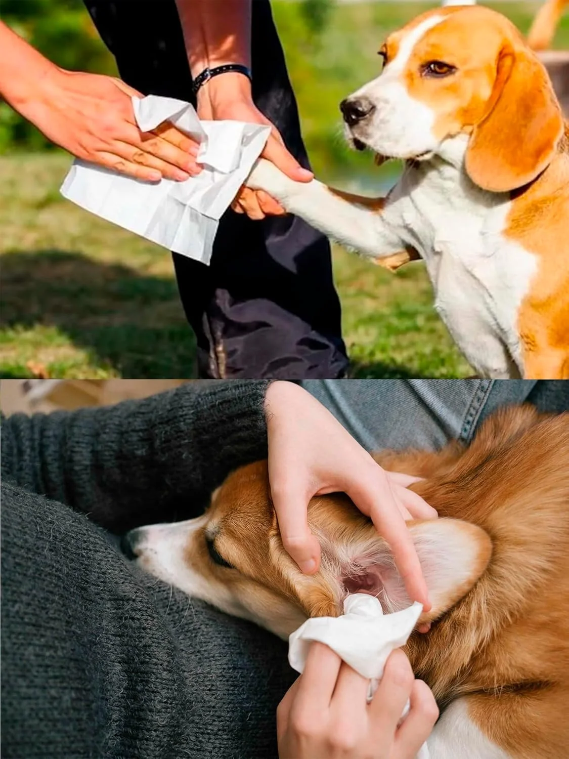 دستمال مرطوب بزرگ 80 عددی برای حیوانات خانگی سگ و گربه، دستمال های نظافتی برای استفاده آسان روی گوش ها، صورت، پنجه ها، بدن و باسن، دستمال مرطوب ضد حساسیت و بدون عطر برای حیوانات خانگی