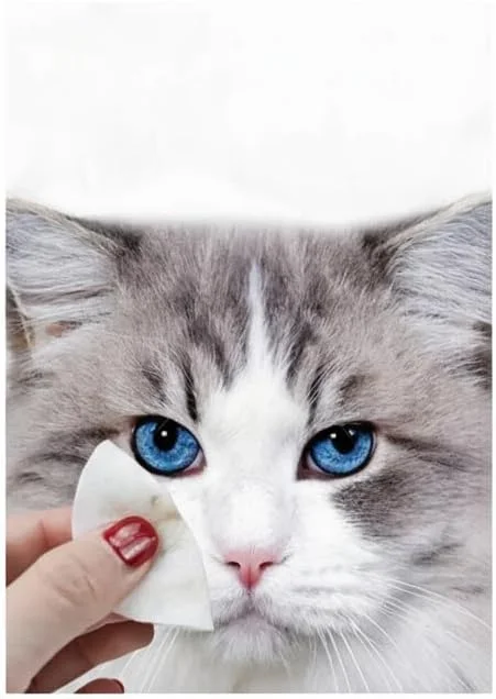 دستمال مرطوب حیوانات خانگی برای گربه و سگ، دستمال مرطوب بدون عطر برای نظافت چشم، پنجه، گوش، بینی، پاک کننده لکه اشک، 60 عدد