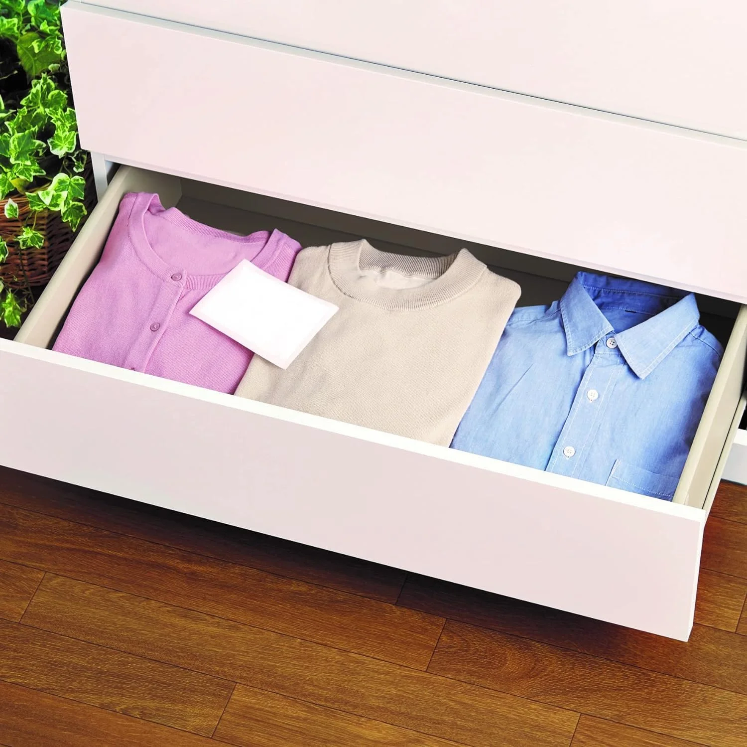 دراي پت (خريد عمده) رطوبت گیر ذغال بینچو برای حیوانات خانگی، 25 گرمی، 12 عدد برگه در 4 بسته برای کشو/جعبه لباس دراي پت (خريد عمده) رطوبت گیر ذغال بینچو برای حیوانات خانگی، 25 گرمی، 12 عدد برگه در 4 بسته برای کشو/جعبه لباس