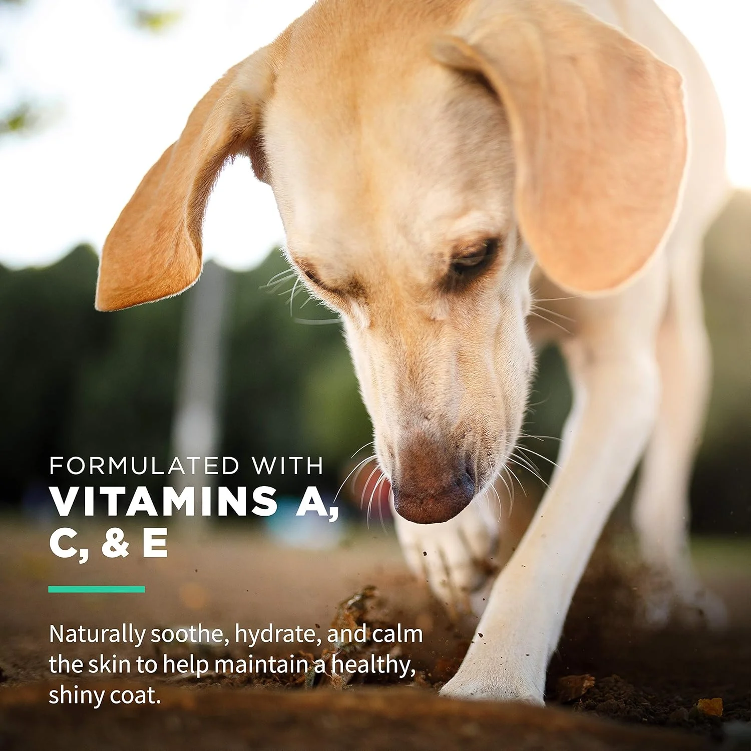 دستمال مرطوب چند منظوره سگ Wet Ones مخصوص حیوانات خانگی، ضد حساسیت، حاوی ویتامین های A، C + E - دستمال مرطوب ضد حساسیت و بدون عطر برای انواع سگ ها با درب Wet Lock - مجموع 300 عدد