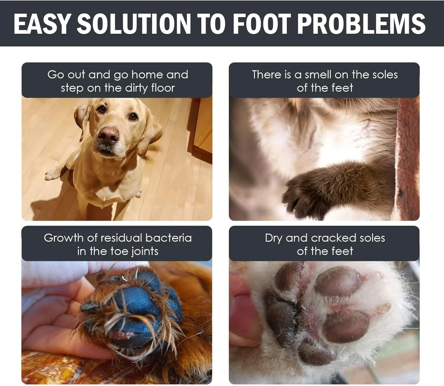 شامپو خشک تمیز کننده پنجه بدون آب برای سگ، گربه و حیوانات خانگی، پاک کننده فوم بدون نیاز به آبکشی Azonee با برس سیلیکونی، شامپو خشک برای تمیز کردن عمیق، ملایم و دارای pH متعادل برای توله سگ (100 میلی لیتر)