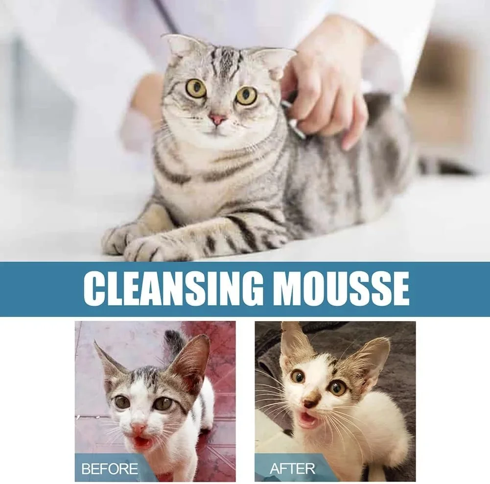 اسپری دئودورانت سگ بدون آب، از بین برنده بوی حیوانات خانگی و اسپری طراوت بخش آزونی برای گربه ها و سگ ها، اسپری نظافت حیوانات خانگی بدون نیاز به آبکشی برای خانه و مسافرت (ایمن و ماندگار)