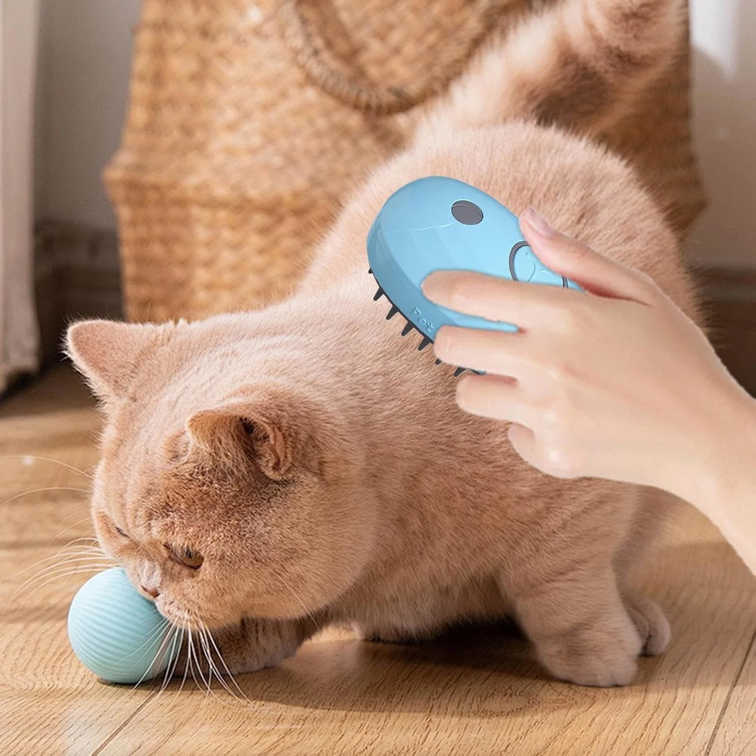 برس آب برای گربه ها - برس گربه 4 در 1 برای ریزش مو | شانه شارژی، ابزار نظافت برای حمام کردن، تمیز کردن، مراقبت از دوش، ماساژ در محیط داخلی