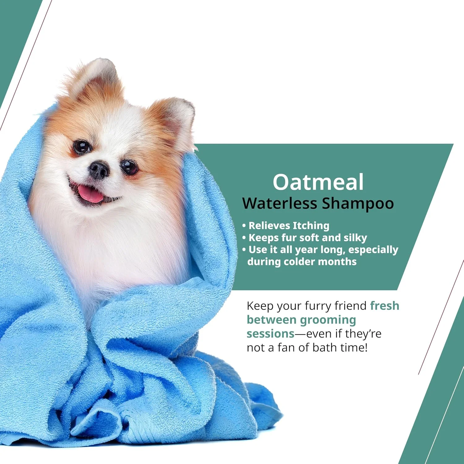 شامپو بدون نیاز به آبکشی Wahl Canada برای سگ ها، شامپو فرمولاسیون جو دوسر با رایحه نارگیل، لیمو و گل شاه پسند برای نرم کردن پوشش سگ شما، تسکین خارش، شامپو بدون آب، پخش کننده فوم، 210 میلی لیتر، مدل 59400