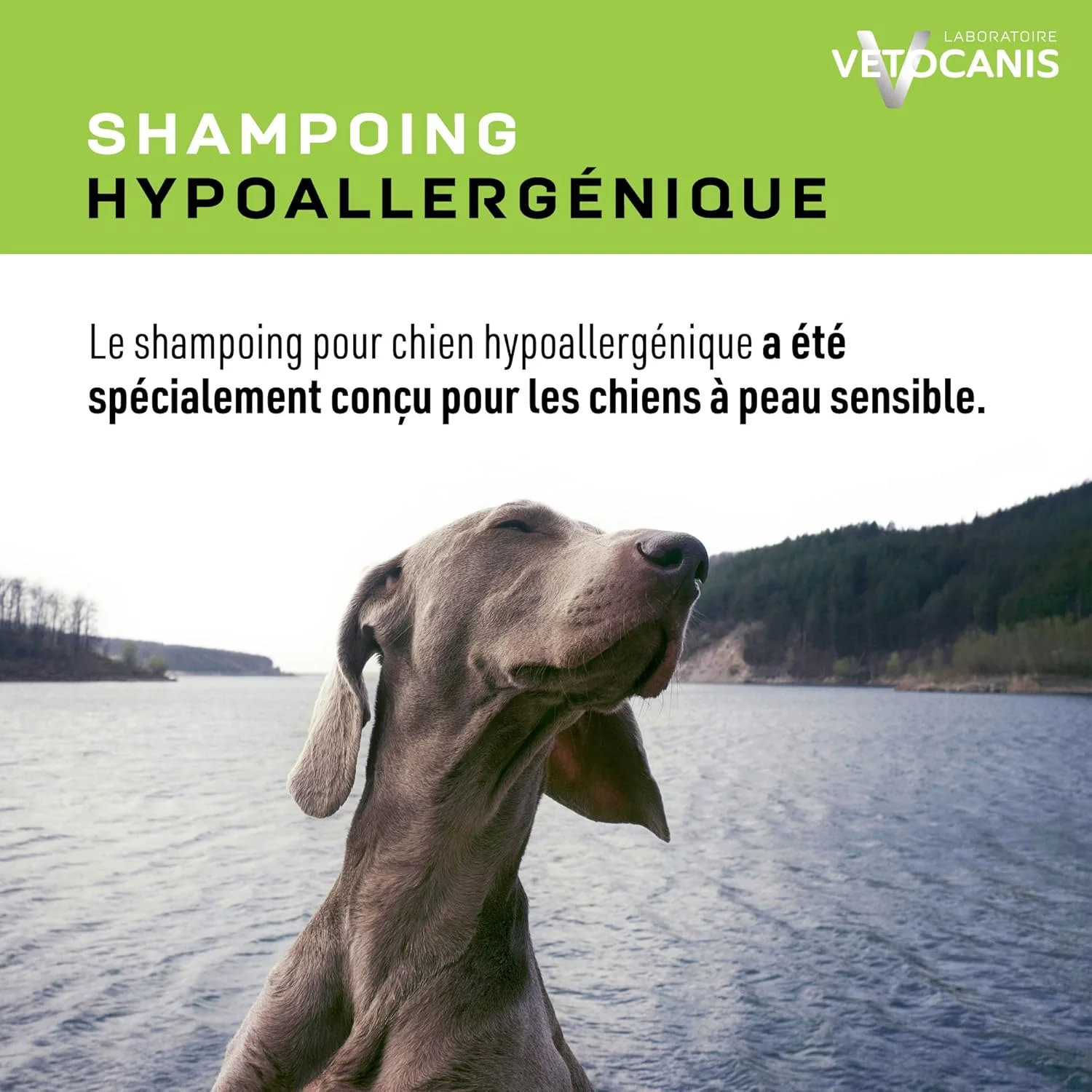 وتوکانیس AGRO - شامپو ضد حساسیت سگ 300 میلی لیتر VC