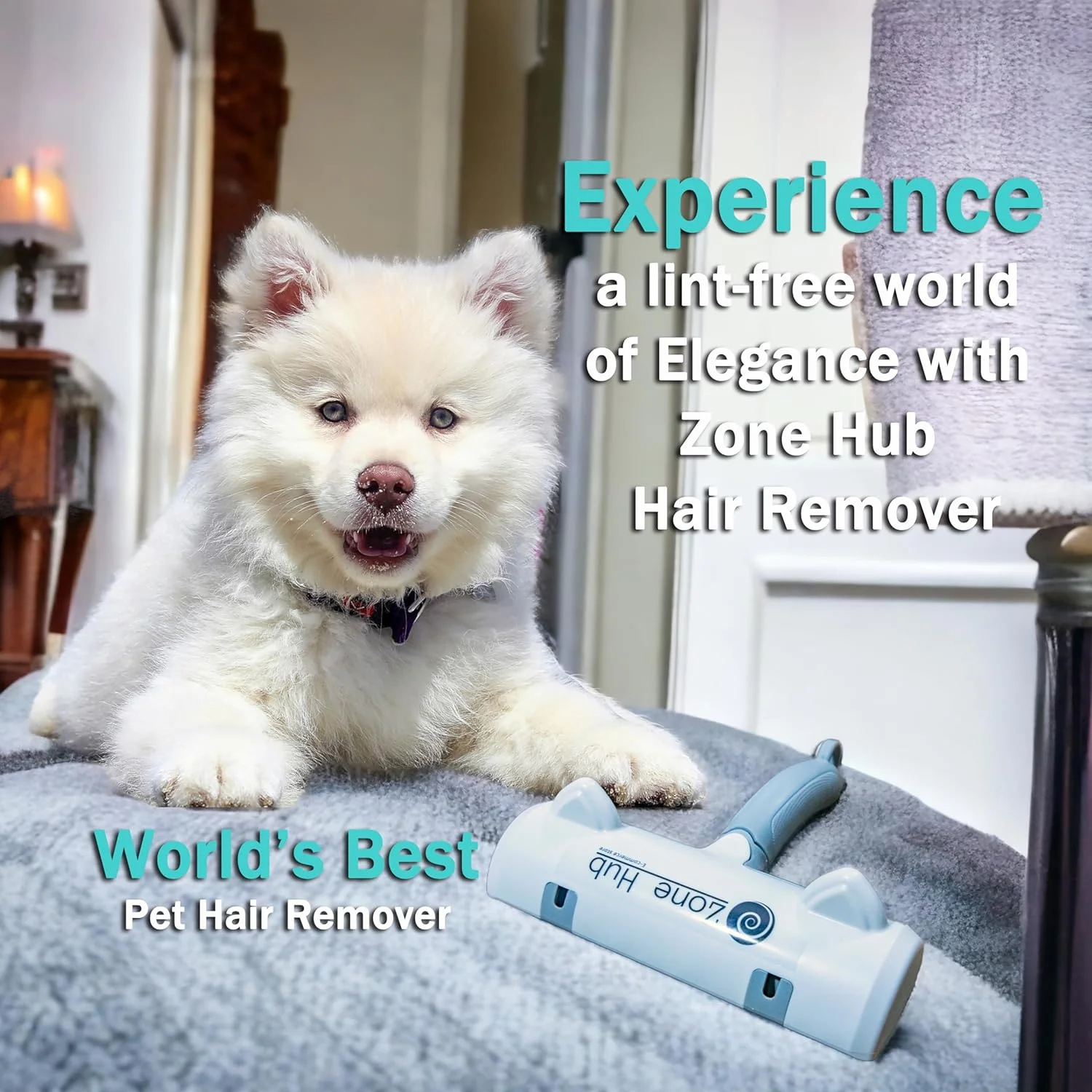 ZONE HUB، جدیدترین برس ارتقا یافته با دسته و گوشه، مو جمع کن حیوانات خانگی سگ و گربه با پایه خود تمیز شونده، ابزار کارآمد حذف موی حیوانات - ایده آل برای مبلمان، مبل، فرش، صندلی ماشین، سفید خاکستری