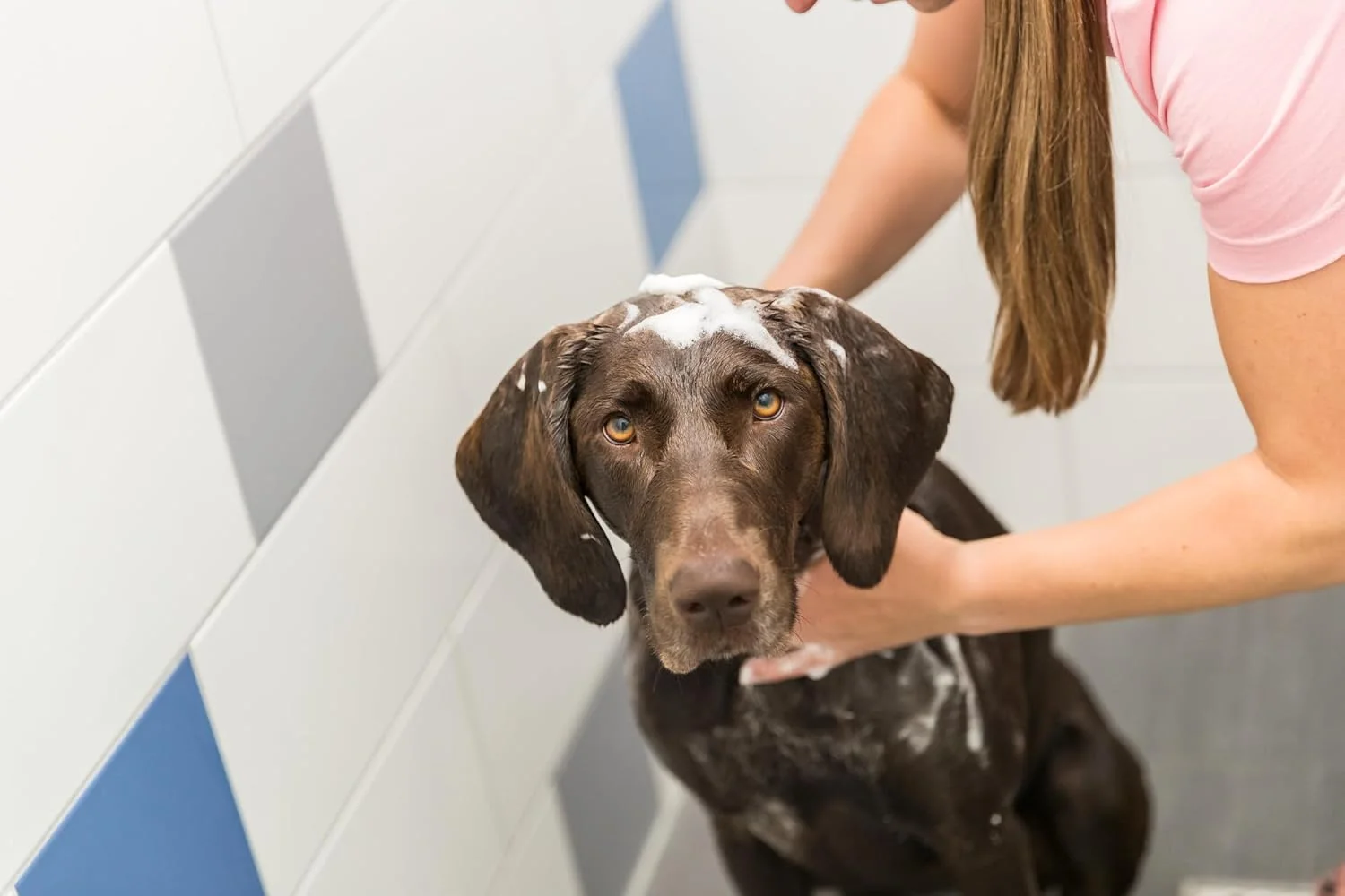 شامپو توله سگ تریکسی 250 میلی لیتر