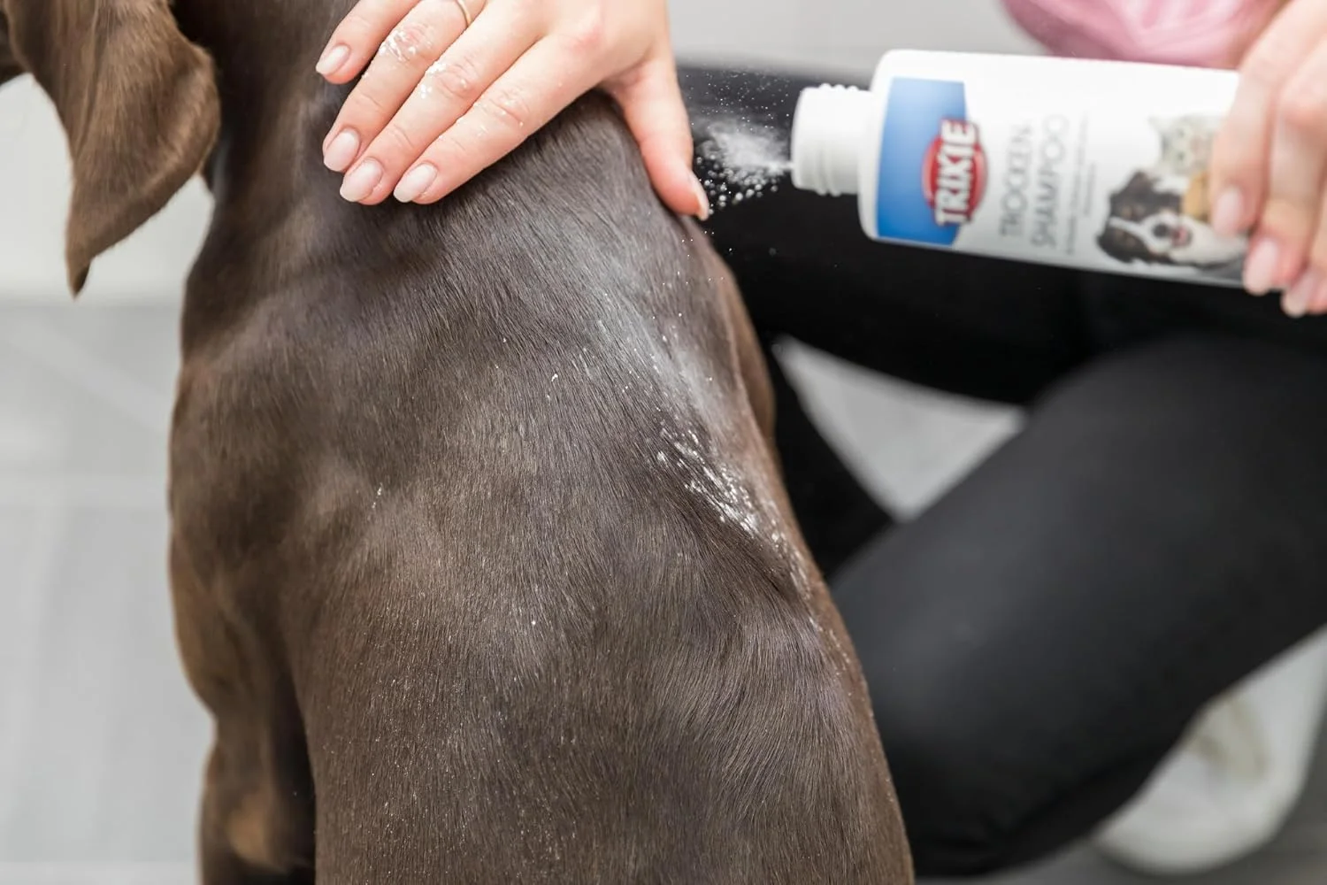 شامپو خشک تریکسی برای حیوانات خانگی 100 گرم