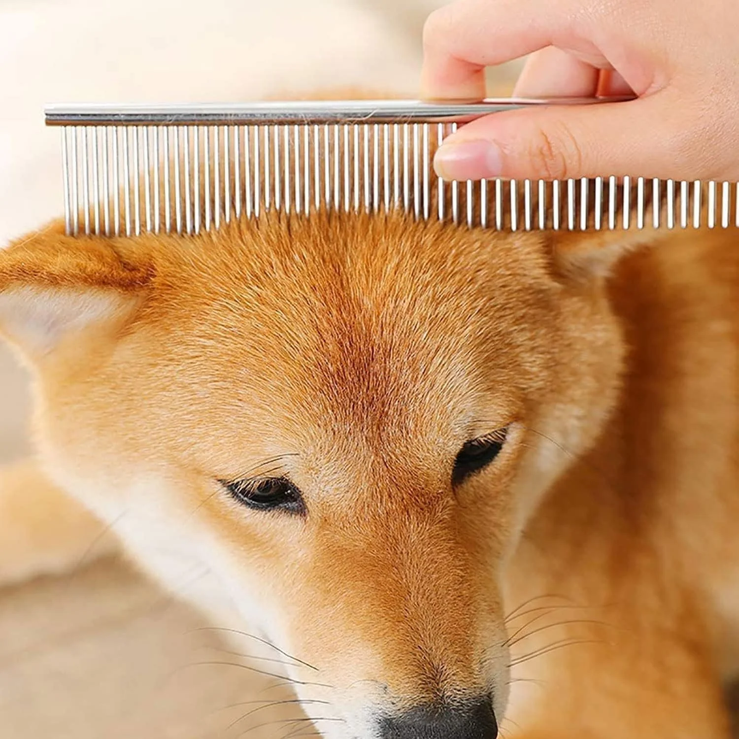 قیچی آرایشی منحنی رو به بالای استیل ضد زنگ TERRIFI، بسته 4 عددی، به همراه شانه آرایشی حیوانات خانگی برای سگ و گربه قیچی آرایشی منحنی رو به بالای استیل ضد زنگ TERRIFI، بسته 4 عددی، به همراه شانه آرایشی حیوانات خانگی برای سگ و گربه