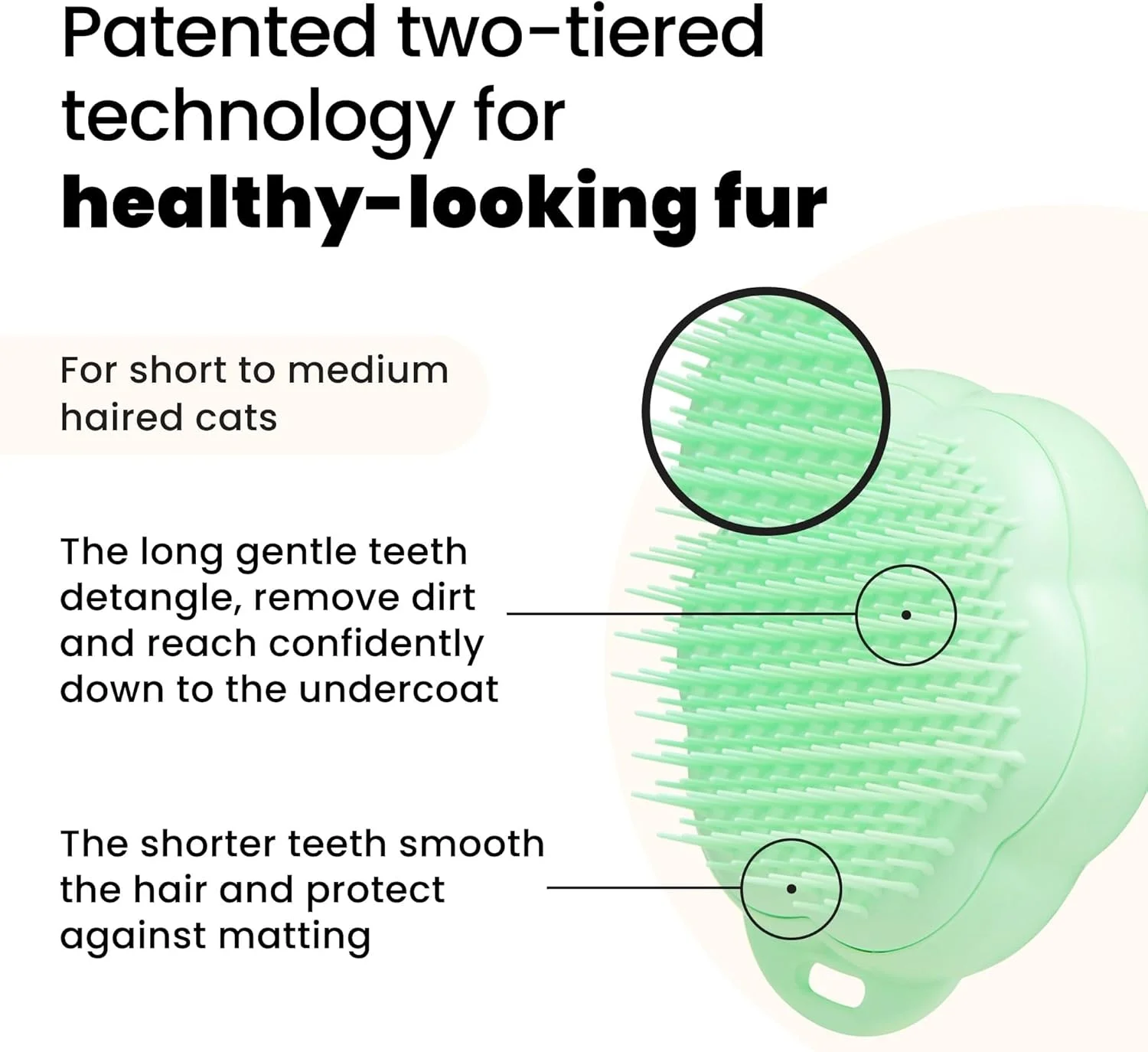 برس گربه پت تیزر