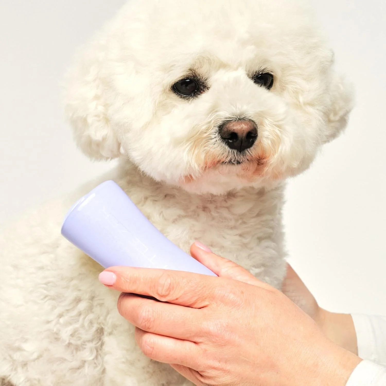 Tangle Teezer | Pet Teezer | برس کوچک گره باز کن و نظافت سگ | برس خشک یا برس حمام سگ | یاسی و زرد