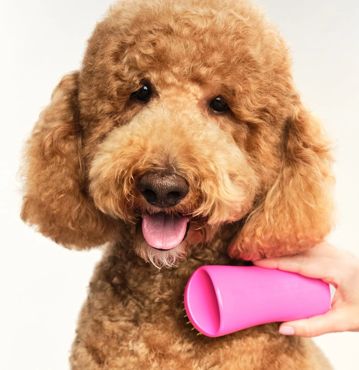 Tangle Teezer | Pet Teezer | برس گره باز کن و نظافت سگ | برس خشک یا برس حمام سگ | صورتی و زرد