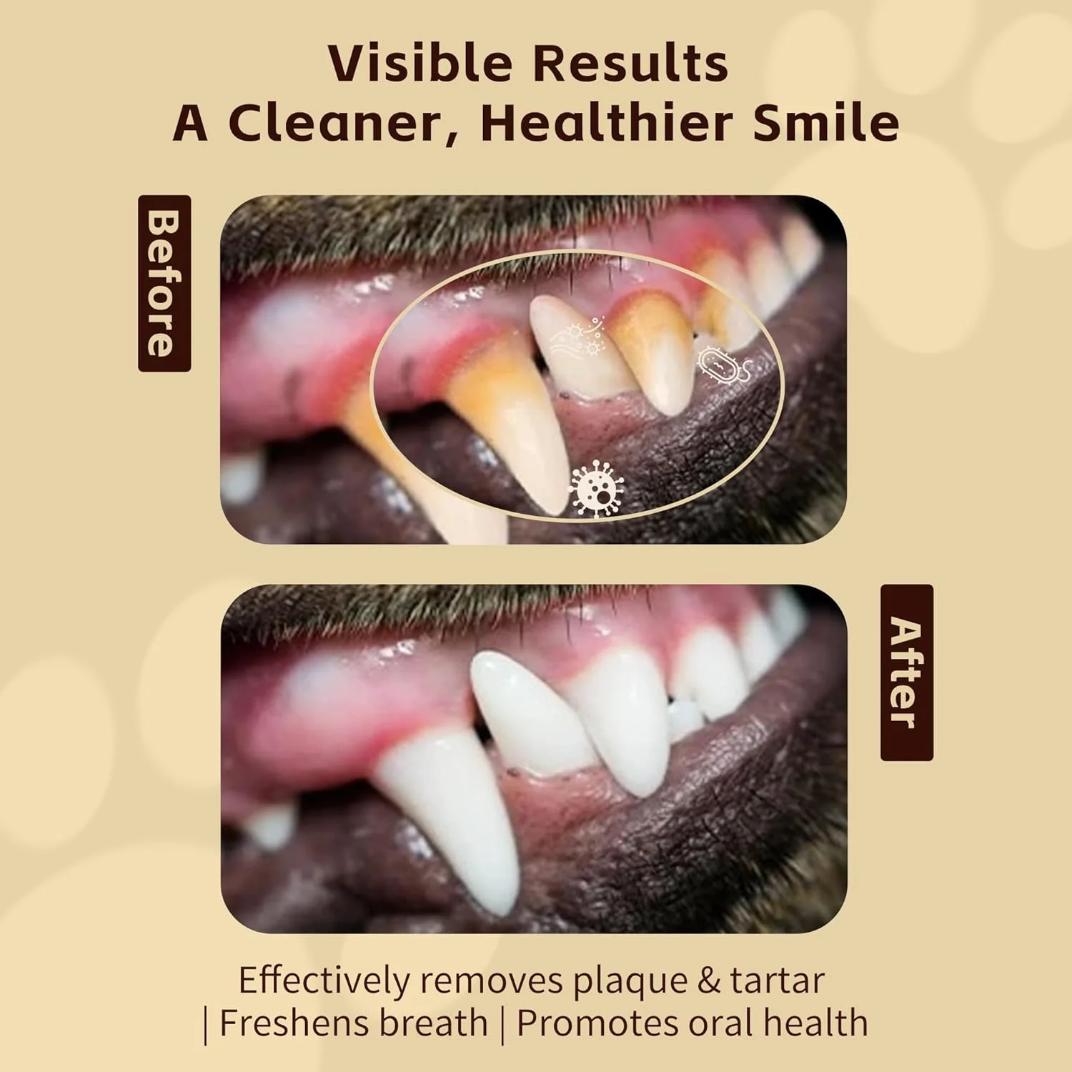 دستمال مرطوب انگشتی حیوانات خانگی TACO's Choice - دستمال مرطوب دندان بدون الکل برای سگ و گربه، از بین برنده پلاک، خوشبو کننده دهان، 50 عدد