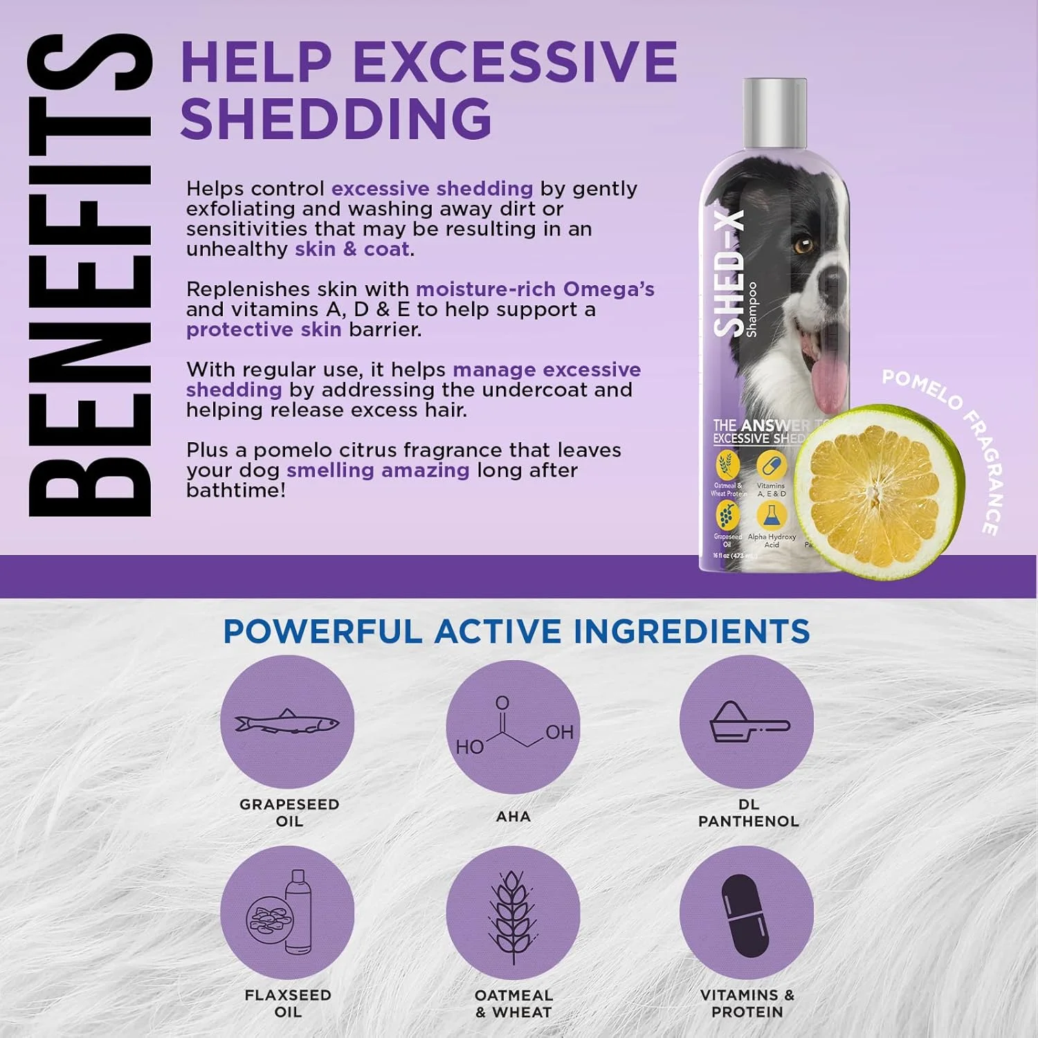 شامپو کنترل ریزش مو سگ Synergy Lab Shed X حجم 473 میلی لیتر