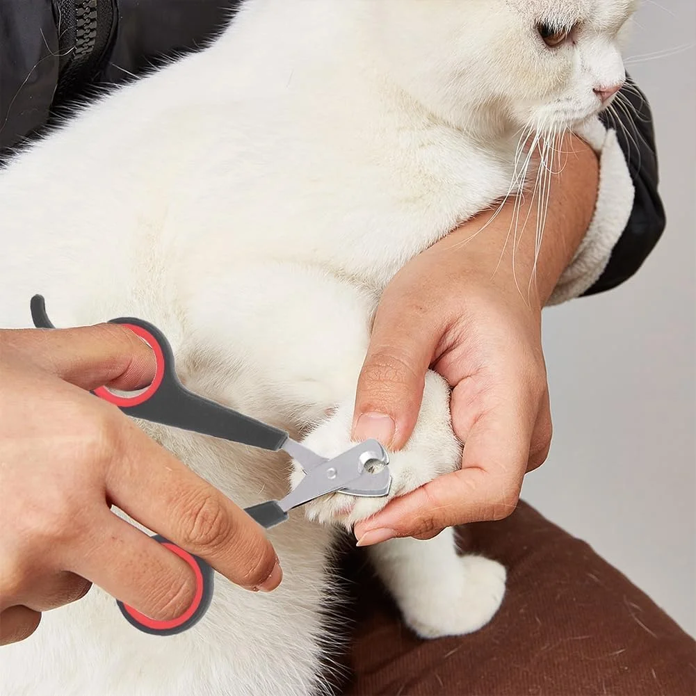 ناخن گیر حیوانات خانگی، ناخن گیر پنجه حیوانات کوچک، قیچی استیل ضد زنگ جامد گربه، لوازم ضروری قفس پرندگان، قیچی ابزار حرفه ای نظافت، لوازم جانبی پرندگان (صورتی) برای سگ های بسیار کوچک، خرگوش، توله سگ