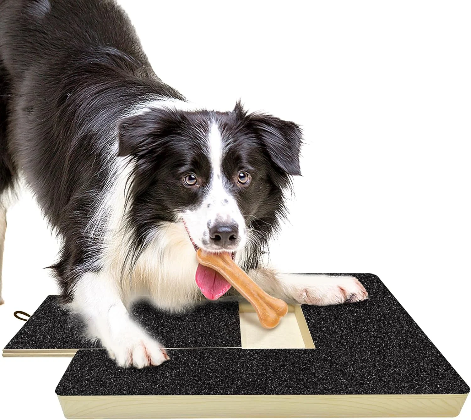 سوهان ناخن سگ SPAKITCHCE - پد خراش مربع تخته خراش، کاغذ سنباده برای کوتاه کردن ناخن سگ و توله سگ