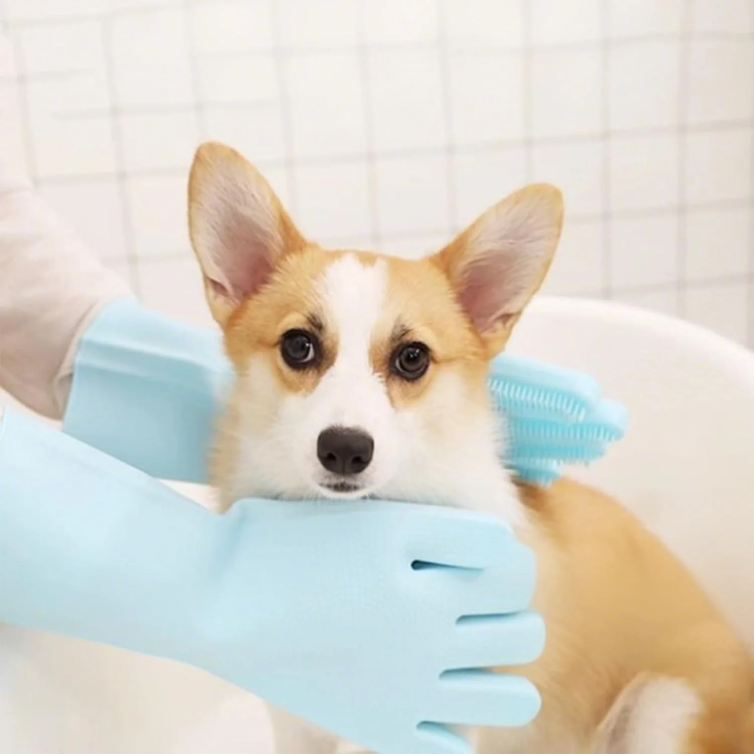 دستکش حمام سگ، دستکش سیلیکونی شستشوی حیوانات خانگی، ابزار تمیز کننده با موهای نرم برای ماساژ، مناسب برای دوش روزانه توله سگ، بچه گربه، شستشوی ظروف، آموزش، ماشین، آشپزخانه، حمام، منزل