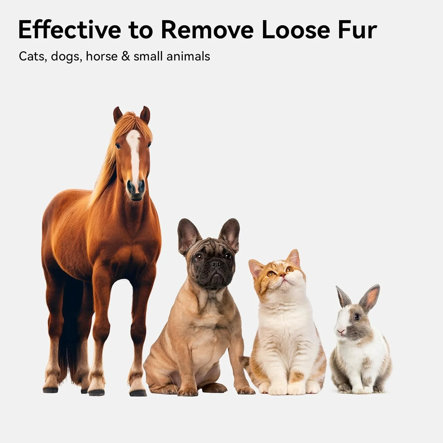 برس گربه aumuca برای ریزش مو، برس گربه برای گربه های خانگی، برس گربه برای گربه های مو بلند یا کوتاه، شانه برس گربه برای ماساژ بچه گربه، از بین بردن موهای شل بنفش