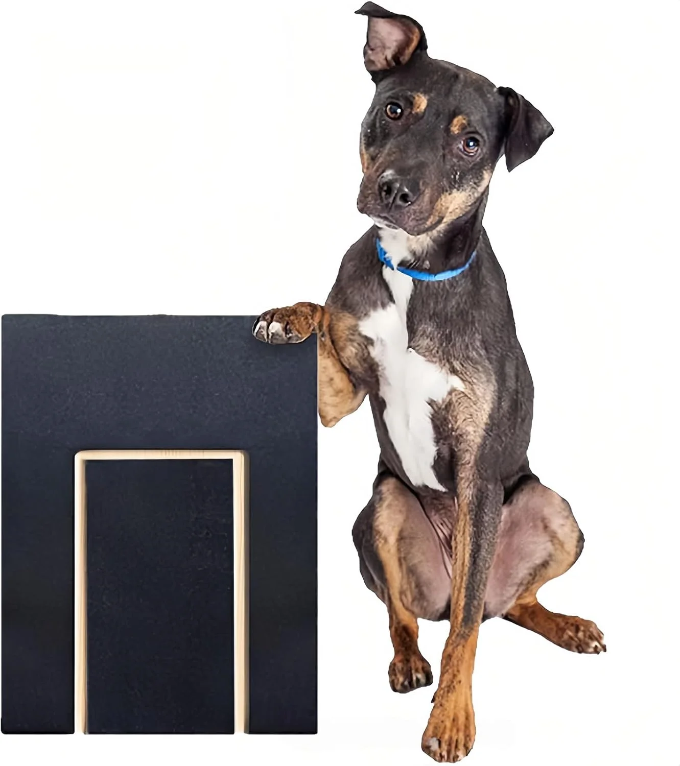 پد خراش ناخن سگ، تخته های خراش چند منظوره با جعبه تشویقی داخلی، پد سوهان ناخن، تخته خراش ناخن سگ، اسباب بازی تشک خراش چوبی برای برد سوهان مراقبت از ناخن حیوانات خانگی