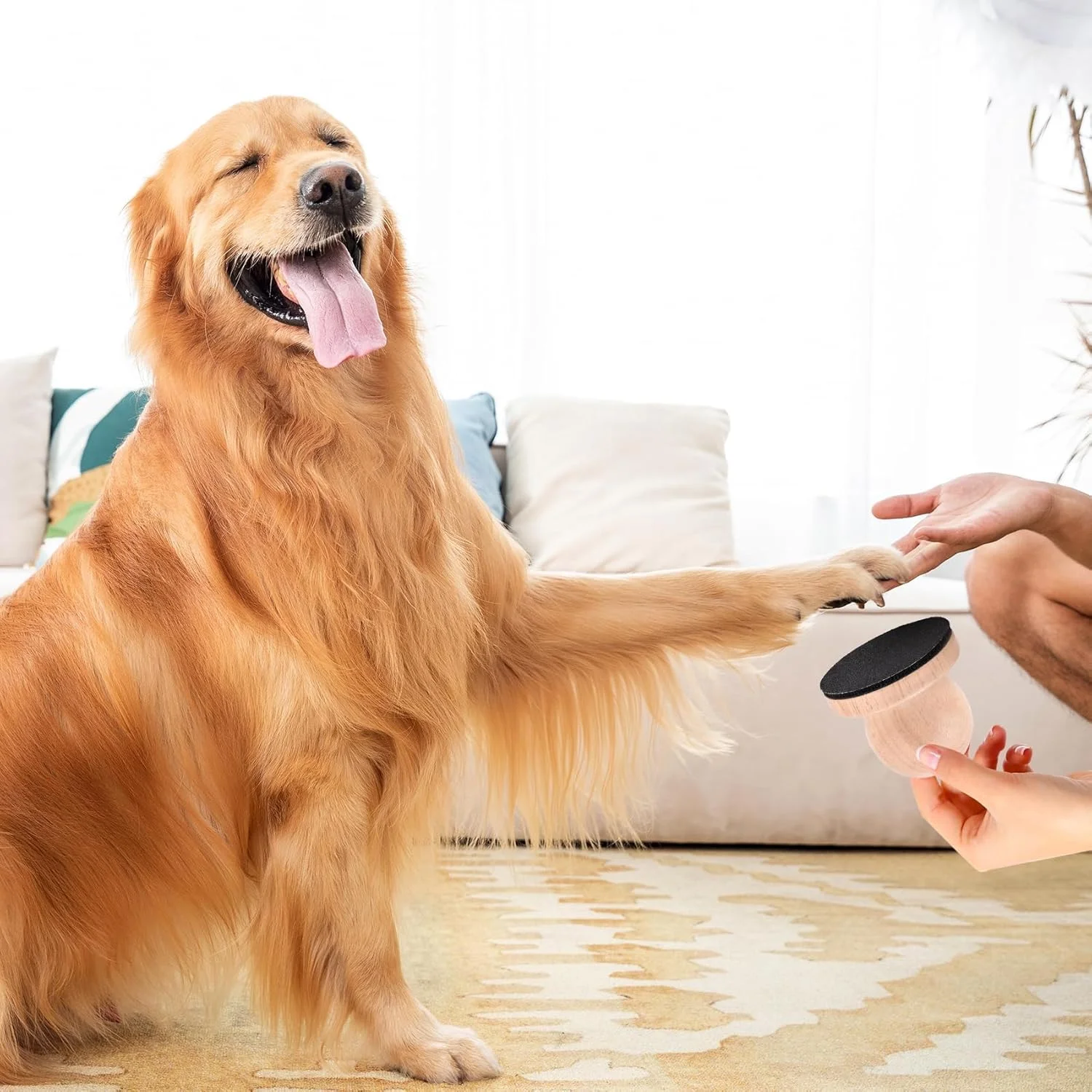 پد سوهان ناخن سگ با 4 کاغذ سنباده قابل تعویض، تخته سوهان ناخن چوبی برای سگ ها، اسباب بازی خراشنده تعاملی برای کوتاه کردن طبیعی ناخن، ابزار آموزش پازل برای سگ های کوچک و متوسط ​​(چوب طبیعی)