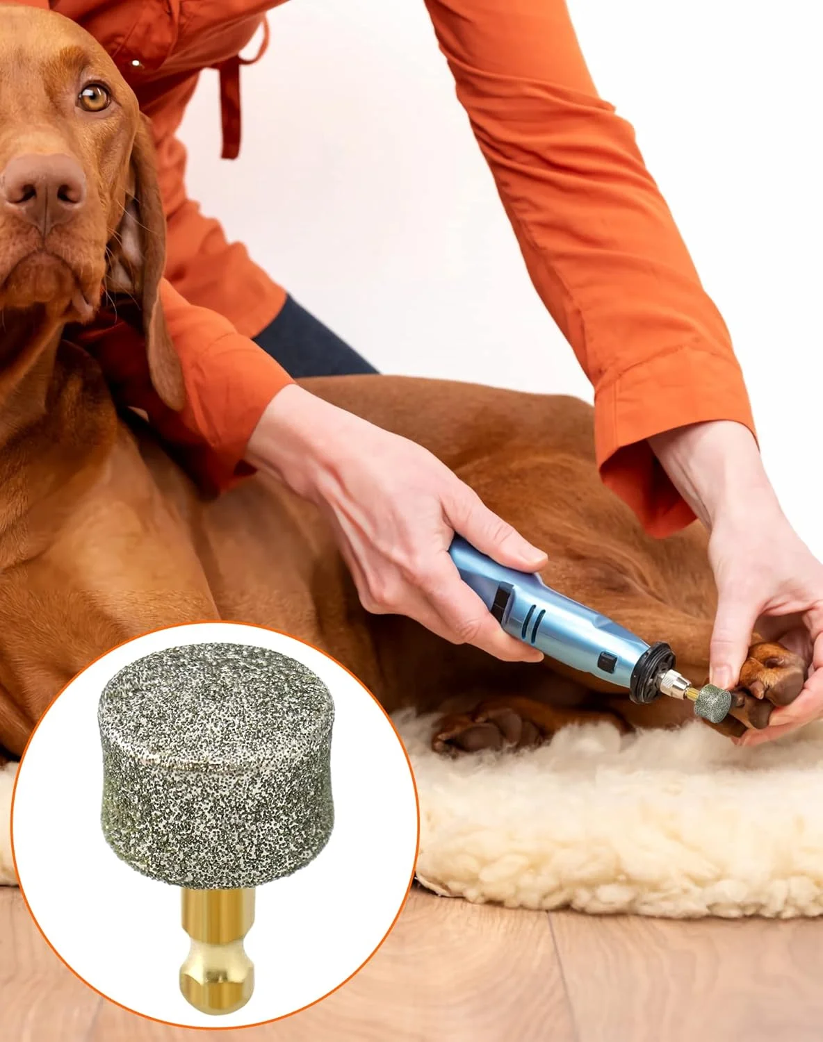 QWORK Dog Nail Grinder Replacement Head, 10 PackPet Nail Grinder Diamond Tip Replacement, Professional Spare Grinding Head for Electric Pet Paw Trimmer Nail Grinder, Dog Claw Smoothing Grinder Bits