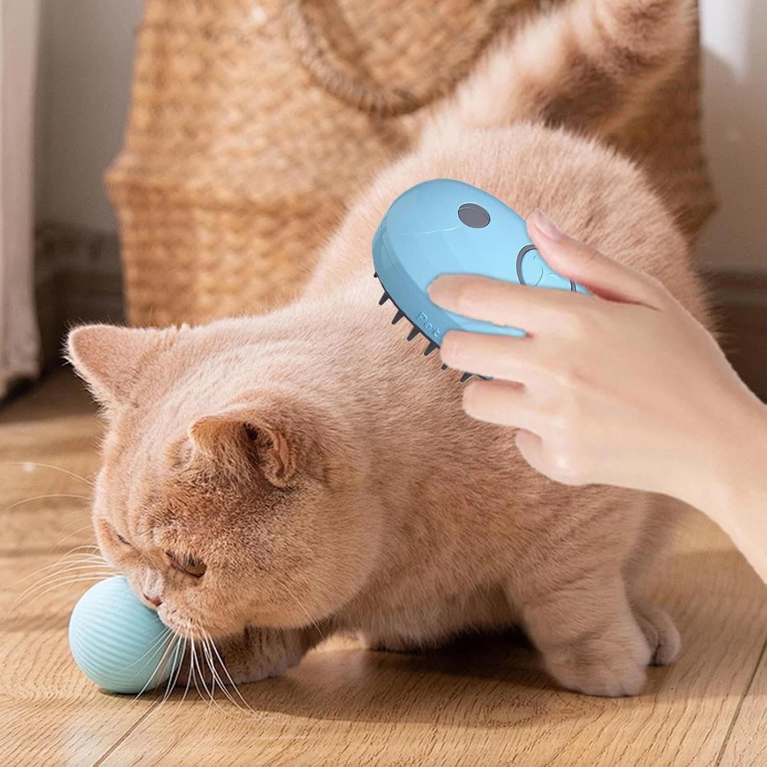 برس مه پاش گربه، برس گربه 4 در 1 | شانه ضد الکتریسیته ساکن قابل شارژ برای از بین بردن ریزش مو، ماساژ، حمام و مراقبت از گربه های خانگی برس مه پاش گربه، برس گربه 4 در 1 | شانه ضد الکتریسیته ساکن قابل شارژ برای از بین بردن ریزش مو، ماساژ، حمام و مراقبت از گربه های خانگی