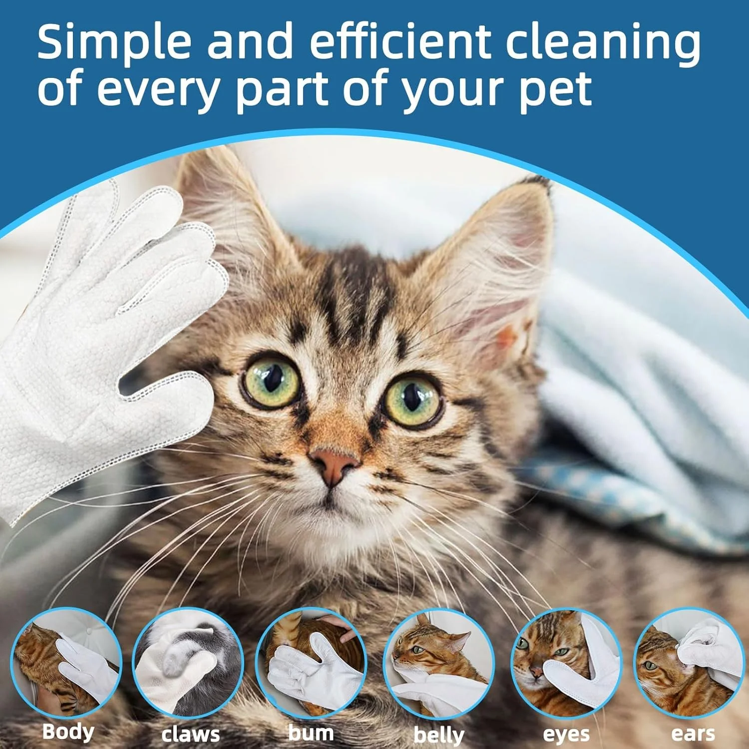 دستکش دستمال مرطوب شستشوی حیوانات خانگی ریان برای سگ و گربه، تمیز کننده بدون آب و بدون بو، دستکش نظافت و خوشبو کننده، دستمال حمام ضخیم، تسکین دهنده و مغذی برای مراقبت و مسافرت (6 عدد) دستکش دستمال مرطوب شستشوی حیوانات خانگی ریان برای سگ و گربه، تمیز کننده بدون آب و بدون بو، دستکش نظافت و خوشبو کننده، دستمال حمام ضخیم، تسکین دهنده و مغذی برای مراقبت و مسافرت (6 عدد)