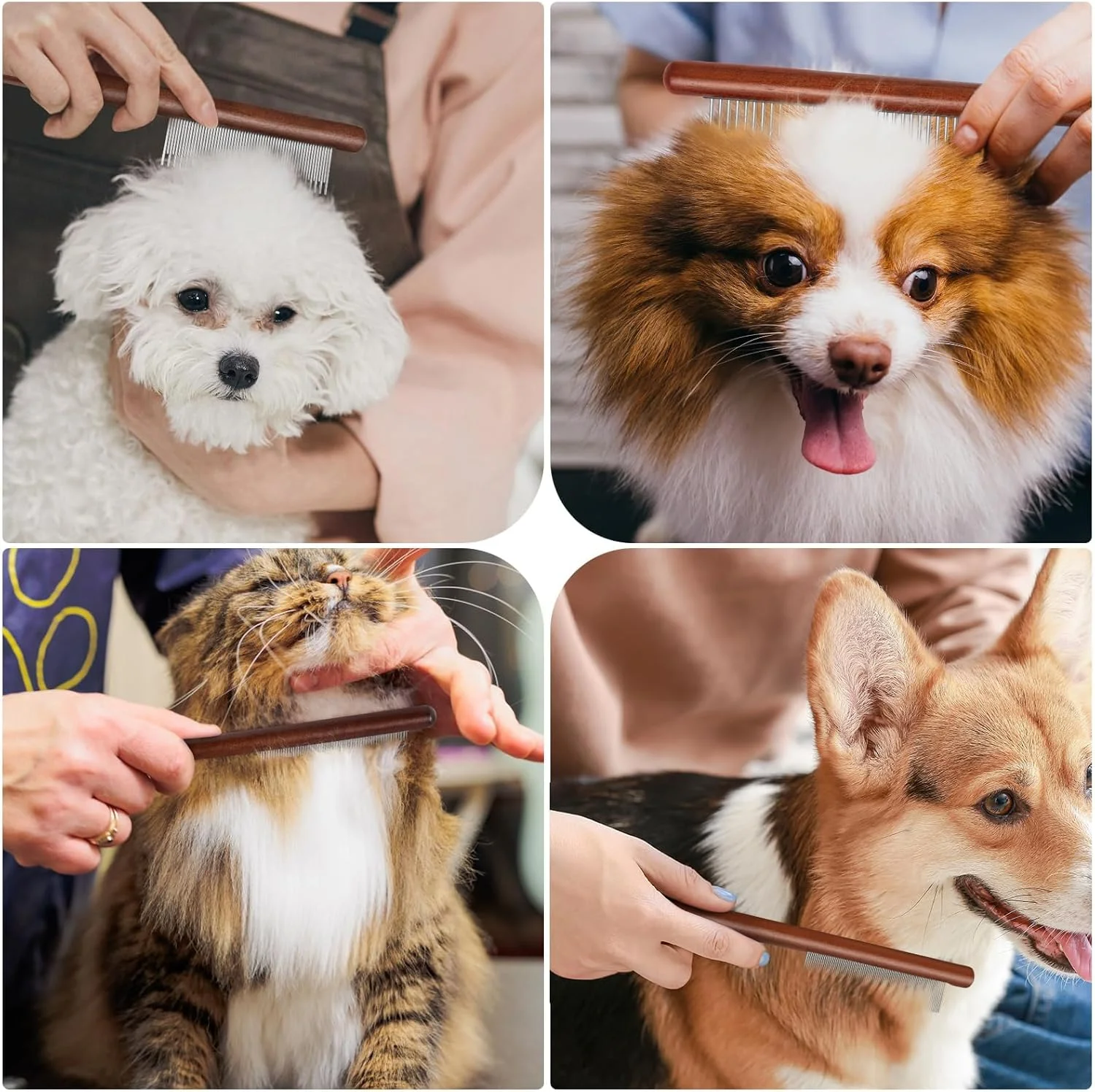 شانه حیوانات خانگی با دسته چوبی ریان، ابزار نظافت برای سگ، گربه و سایر حیوانات خانگی با موهای بلند و کوتاه، شانه گره باز کن حیوانات خانگی با دندانه های گرد، دسته ضد لغزش، جلوگیری از گره خوردگی و نمدی شدن (3 عدد)