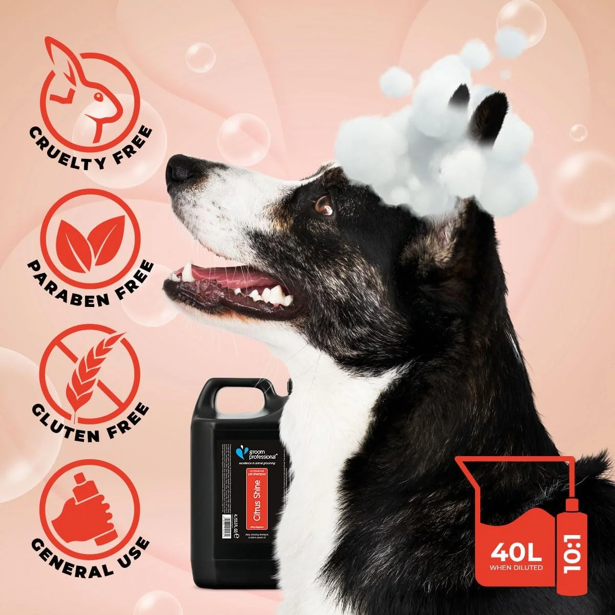 شامپو سگ و گربه گروم پروفشنال با رایحه مرکبات، ۴ لیتر، چند رنگ
