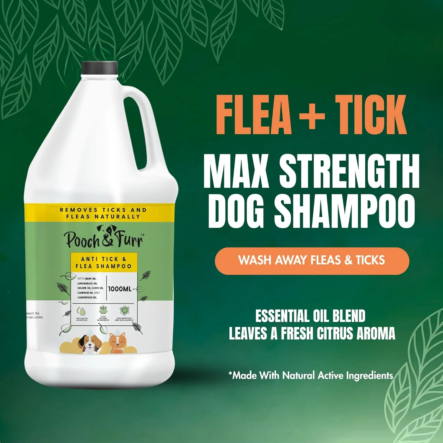 شامپو سگ ضد کنه و کک پوچ اند فر (۱۰۰۰ میلی لیتر)، فرمول قوی، دفاع قدرتمند و طبیعی، پیشگیری برای سگ های بزرگ و کوچک حاوی روغن چریش، روغن کافور، روغن میخک