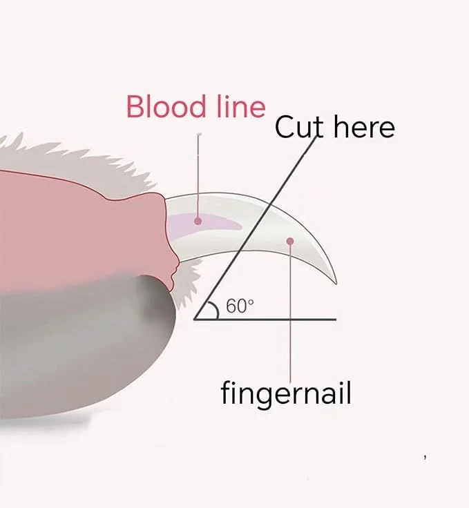 ناخن گیر سگ و گربه پت پس با چراغ LED، ناخن گیر حرفه ای برای جلوگیری از کوتاه کردن بیش از حد، آرایش سگ و گربه برای حیوانات خانگی (صورتی).