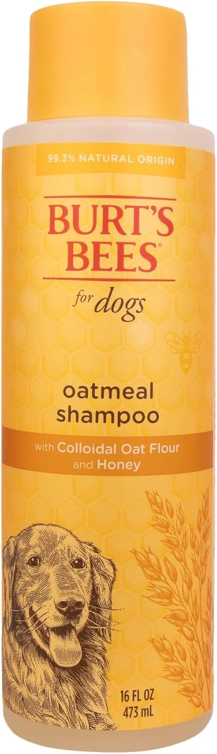 شامپو سگ جو دوسر برای حیوانات خانگی Burt's Bees | حاوی آرد جو دوسر کلوئیدی و عسل | مرطوب کننده و مغذی، بدون ظلم به حیوانات، بدون سولفات و پارابن، متعادل با pH برای سگ ها - ساخت آمریکا، 473 میلی لیتر