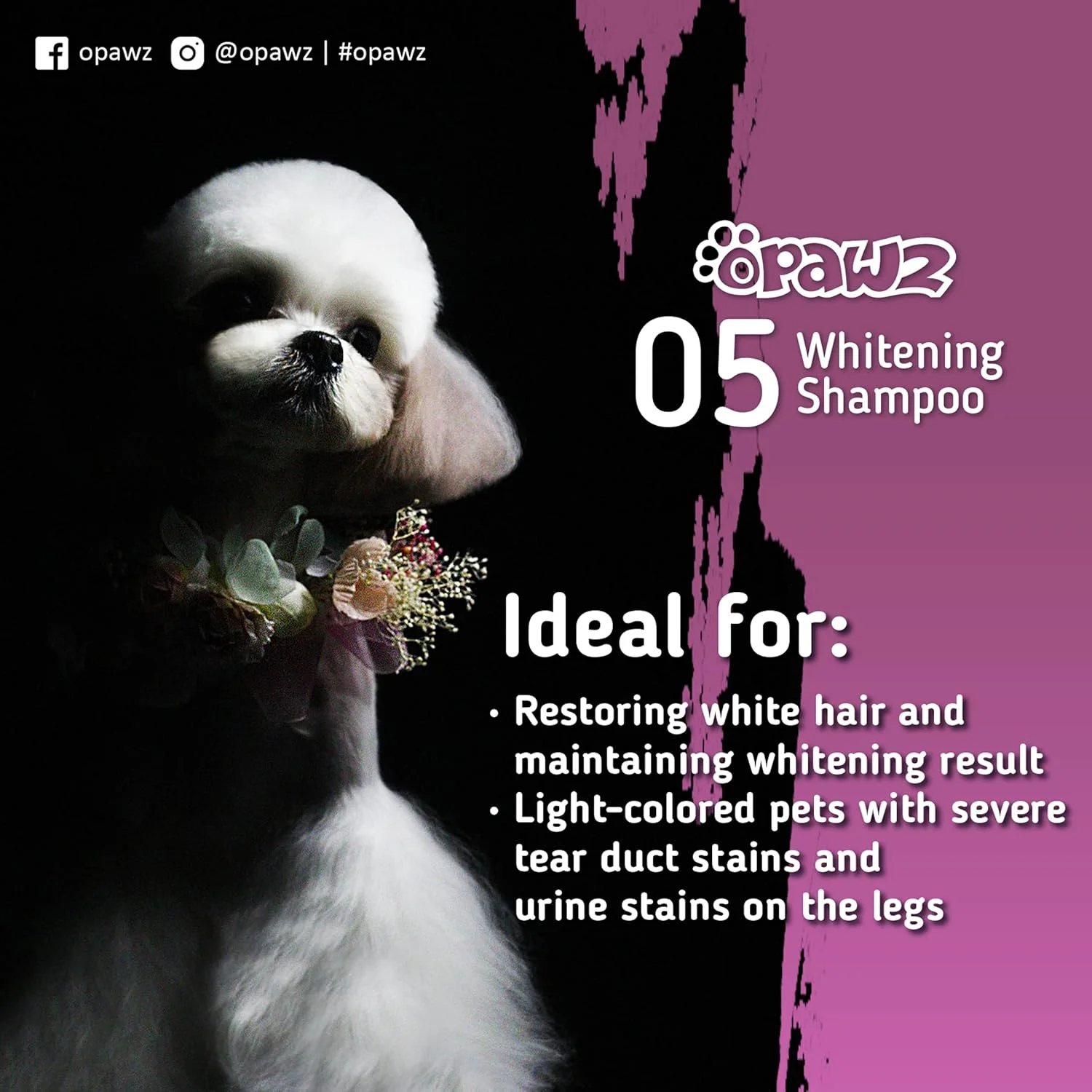 شامپو سفید کننده بنفش OPAWZ 05 برای سگ و گربه، حذف ایمن لکه های زرد، بدون سفید کننده، پراکسید و سولفات، محصول پیشنهادی آرایشگران حرفه ای، 500 میلی لیتر