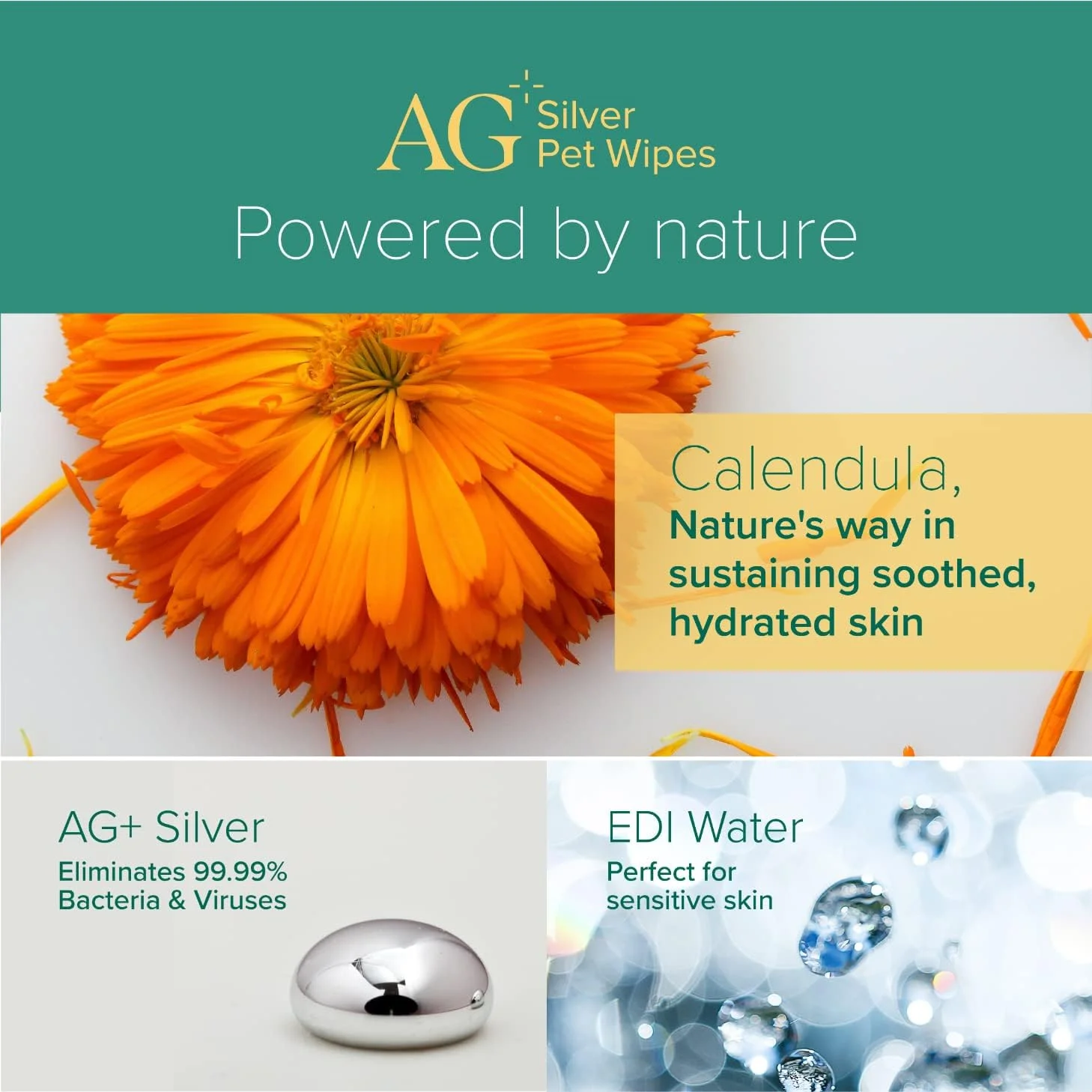 دستمال مرطوب حیوانات خانگی Nurture Pro AG+ Silver - 100 عدد بدون رایحه
