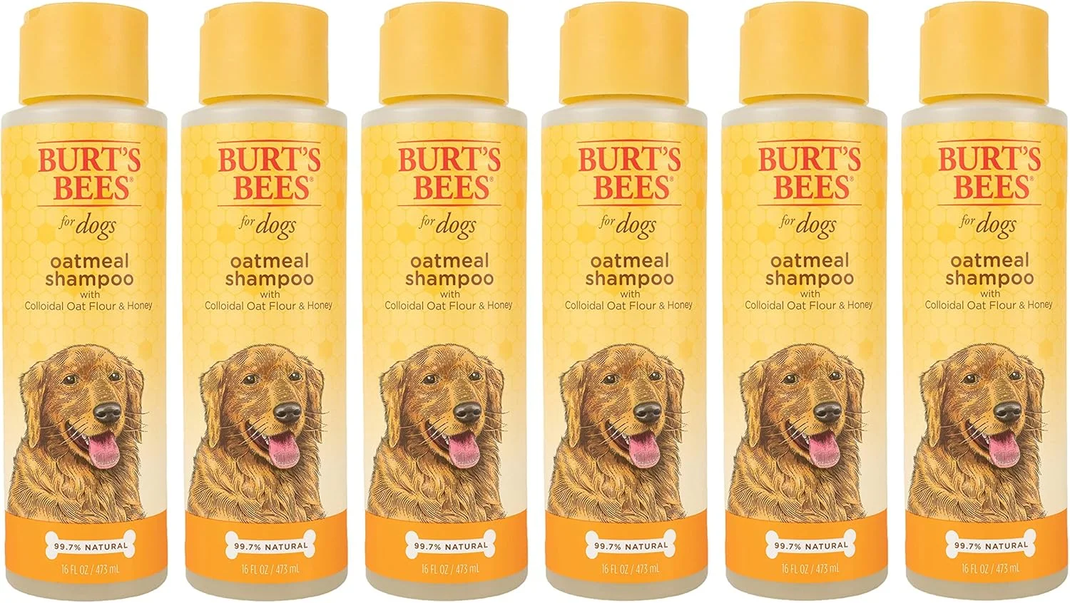 شامپو سگ طبیعی جو دوسر با آرد جو دوسر کلوئیدی و عسل Burt's Bees برای حیوانات خانگی | شامپو سگ جو دوسر، 473 میلی لیتر - بسته 6 عددی (FF7258CP6)