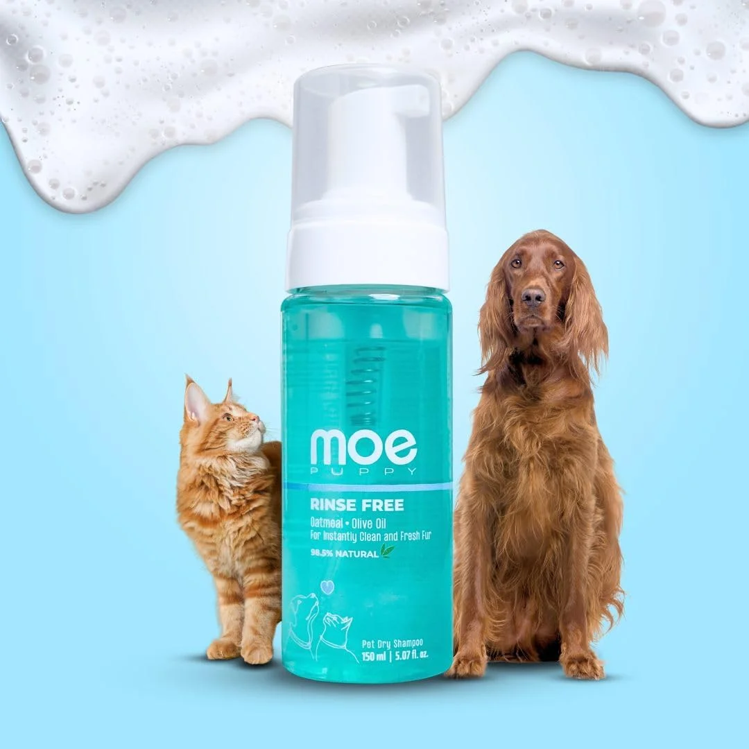 شامپو خشک سگ و گربه بدون نیاز به آبکشی Moe Puppy برای تمیزی و طراوت فوری مو | فوم پاک کننده بدون آب برای سگ ها و گربه ها | (150 میلی لیتر)