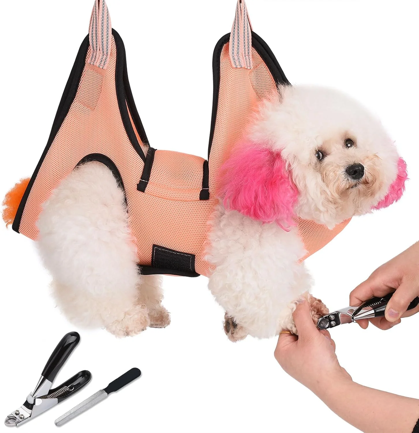 هارنس توری اصلاح سگ JDMYCYCQXF، ابزار آویز اصلاح حیوانات خانگی به همراه ناخن گیر/سوهان ناخن سگ (سایز: S) هارنس توری اصلاح سگ JDMYCYCQXF، ابزار آویز اصلاح حیوانات خانگی به همراه ناخن گیر/سوهان ناخن سگ (سایز: S)