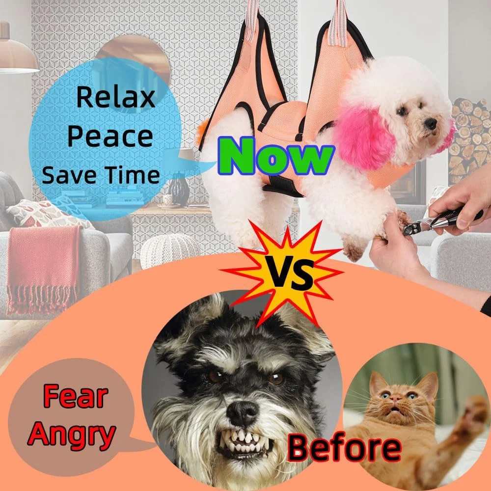 هارنس توری اصلاح سگ JDMYCYCQXF، ابزار آویز اصلاح حیوانات خانگی به همراه ناخن گیر/سوهان ناخن سگ (سایز: S) هارنس توری اصلاح سگ JDMYCYCQXF، ابزار آویز اصلاح حیوانات خانگی به همراه ناخن گیر/سوهان ناخن سگ (سایز: S)