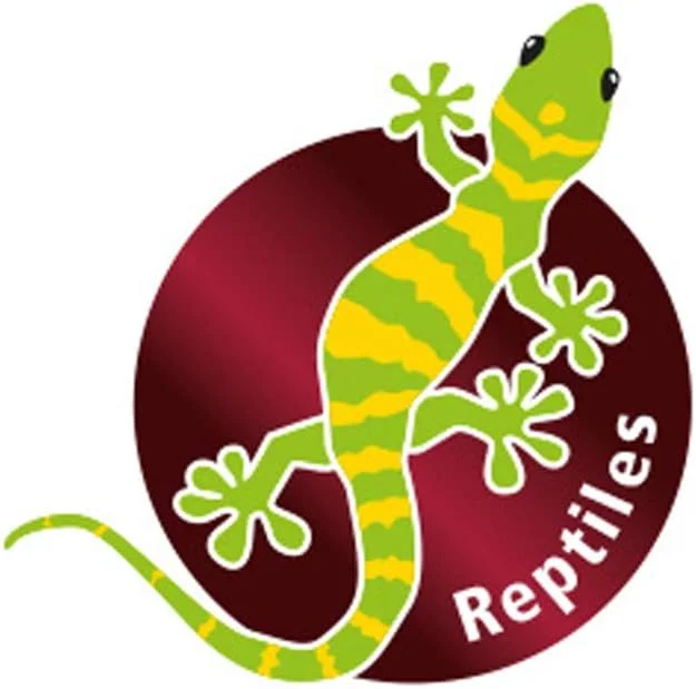 بطری اسپری فشار قوی HOBBY با ظرفیت 1.5 لیتر