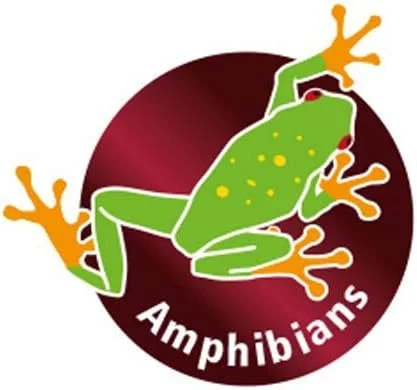 بطری اسپری فشار قوی HOBBY با ظرفیت 1.5 لیتر