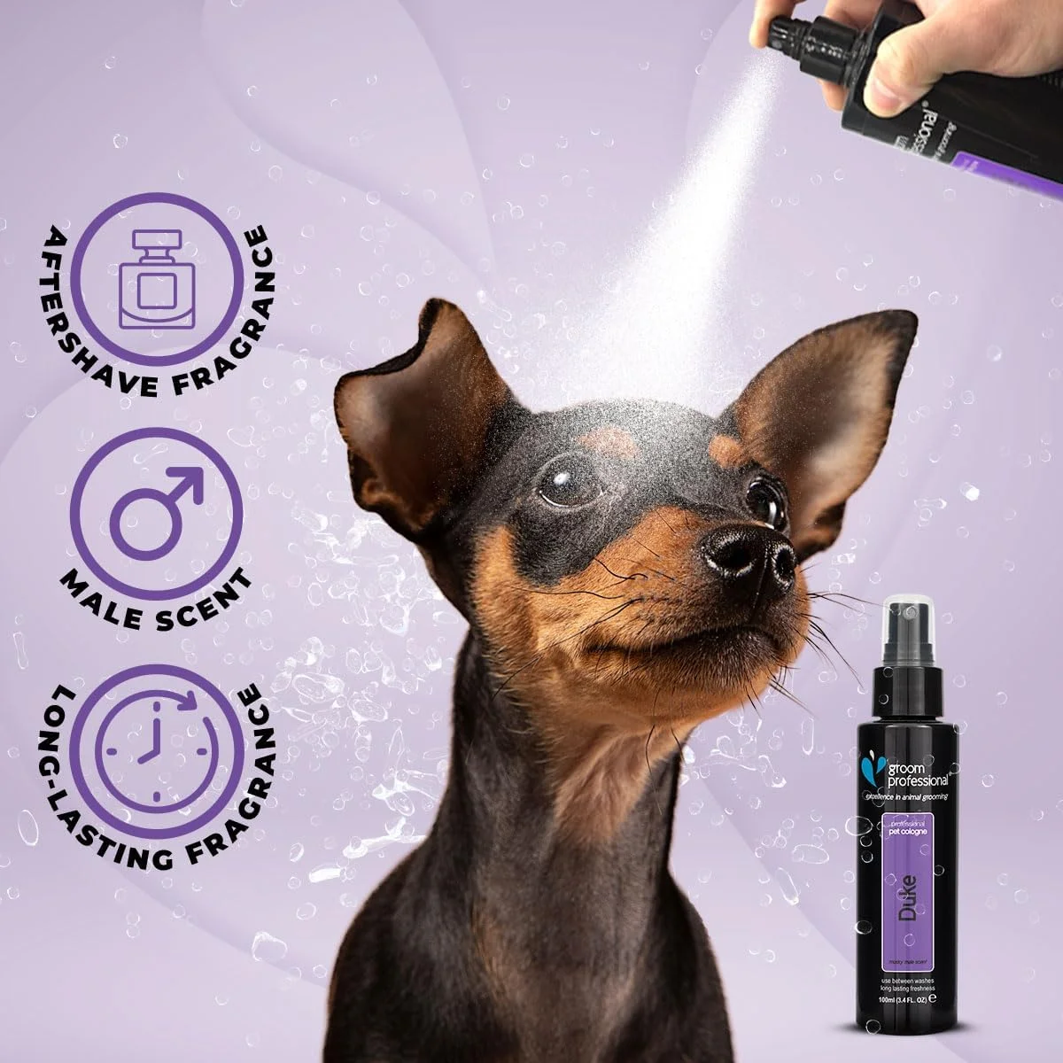 ادکلن سگ Groom Professional مدل Duke، ۱۰۰ میلی لیتر