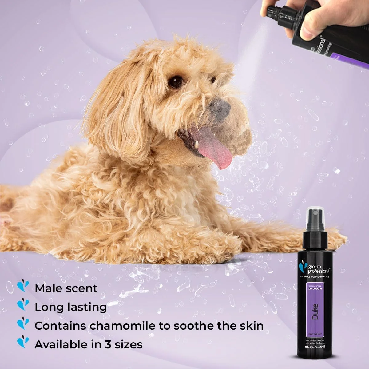 ادکلن سگ Groom Professional مدل Duke، ۱۰۰ میلی لیتر