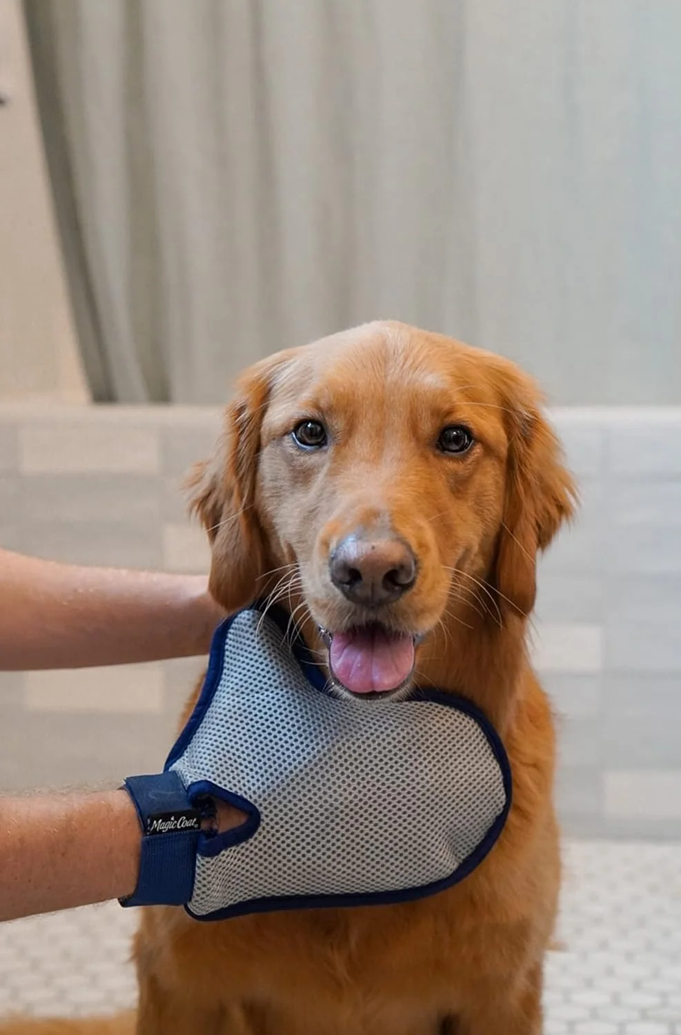 دستکش نظافت سگ و گربه فور پاوز مدل Magic Coat Deluxe Love Glove با نوک لطیف، چند رنگ دستکش نظافت سگ و گربه فور پاوز مدل Magic Coat Deluxe Love Glove با نوک لطیف، چند رنگ