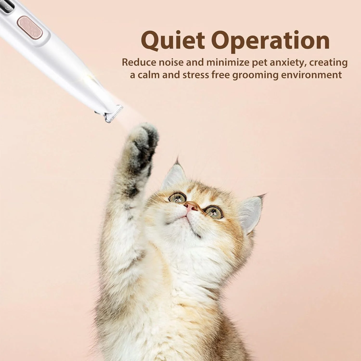 ماشین اصلاح موی برقی گربه با چراغ LED، ماشین اصلاح شارژی سگ، ماشین اصلاح حیوانات خانگی کم صدا برای اصلاح موی حیوانات خانگی در اطراف پنجه ها، چشم ها، گوش ها، صورت و کپل ماشین اصلاح موی برقی گربه با چراغ LED، ماشین اصلاح شارژی سگ، ماشین اصلاح حیوانات خانگی کم صدا برای اصلاح موی حیوانات خانگی در اطراف پنجه ها، چشم ها، گوش ها، صورت و کپل