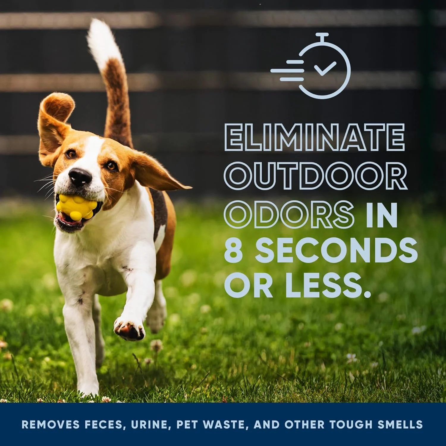 از بین برنده بوی قوی محیط بیرون اکو استرانگ | پاک کننده آنزیمی ادرار سگ در فضای باز - خوشبو کننده قوی حیوانات خانگی، گربه، حیوانات | قدرت حرفه ای برای حیاط، چمن، لانه سگ، پاسیو، عرشه (1 گالن) از بین برنده بوی قوی محیط بیرون اکو استرانگ | پاک کننده آنزیمی ادرار سگ در فضای باز - خوشبو کننده قوی حیوانات خانگی، گربه، حیوانات | قدرت حرفه ای برای حیاط، چمن، لانه سگ، پاسیو، عرشه (1 گالن)