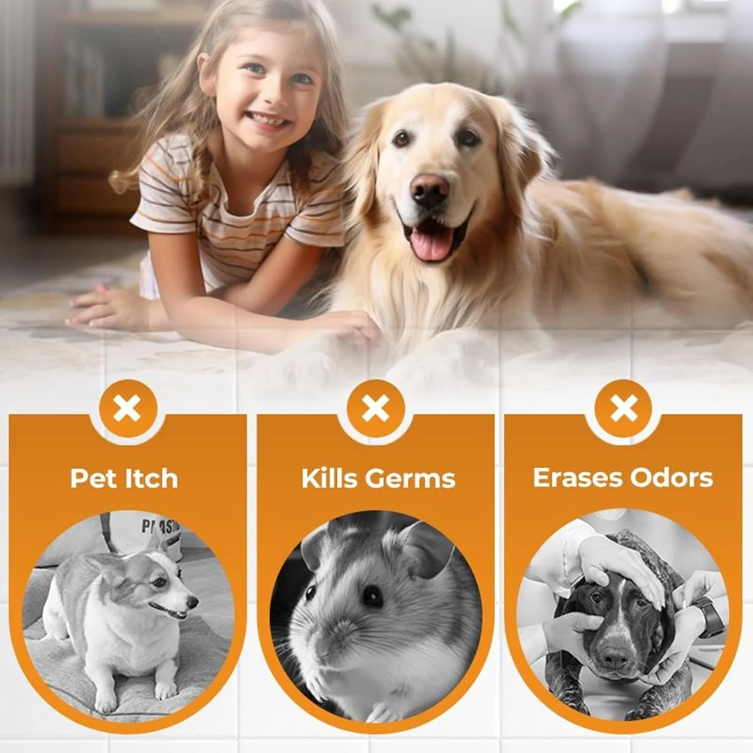 خوشبو کننده حیوانات خانگی، 200 میلی لیتر از بین برنده بوی قفس | اسپری با طراوت طبیعی برای از بین بردن بوی ادرار قفس، طوطی کاکتیل، نشیمنگاه، توله سگ، بچه گربه، خانه، فرش خوشبو کننده حیوانات خانگی، 200 میلی لیتر از بین برنده بوی قفس | اسپری با طراوت طبیعی برای از بین بردن بوی ادرار قفس، طوطی کاکتیل، نشیمنگاه، توله سگ، بچه گربه، خانه، فرش