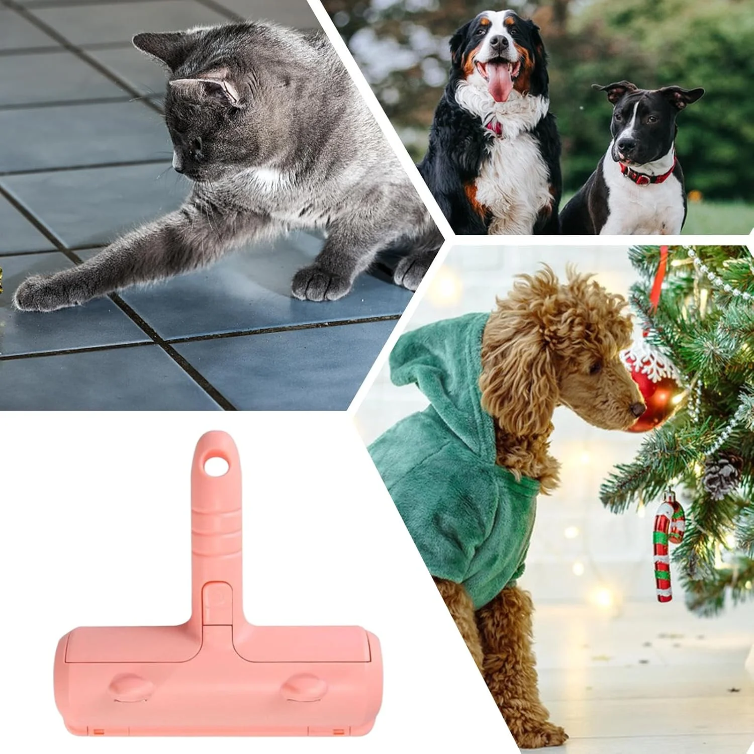 برس جمع کننده موی سگ مبل - برس غلتکی پرز پارچه ای طرح گوش گربه | ابزار موبر قابل شستشو برای صاحبان سگ، مناسب برای مبل های اتاق نشیمن، رختخواب، لباس، مبلمان پارچه ای، فرش، صندلی ماشین، تشک و دفتر کار برس جمع کننده موی سگ مبل - برس غلتکی پرز پارچه ای طرح گوش گربه | ابزار موبر قابل شستشو برای صاحبان سگ، مناسب برای مبل های اتاق نشیمن، رختخواب، لباس، مبلمان پارچه ای، فرش، صندلی ماشین، تشک و دفتر کار