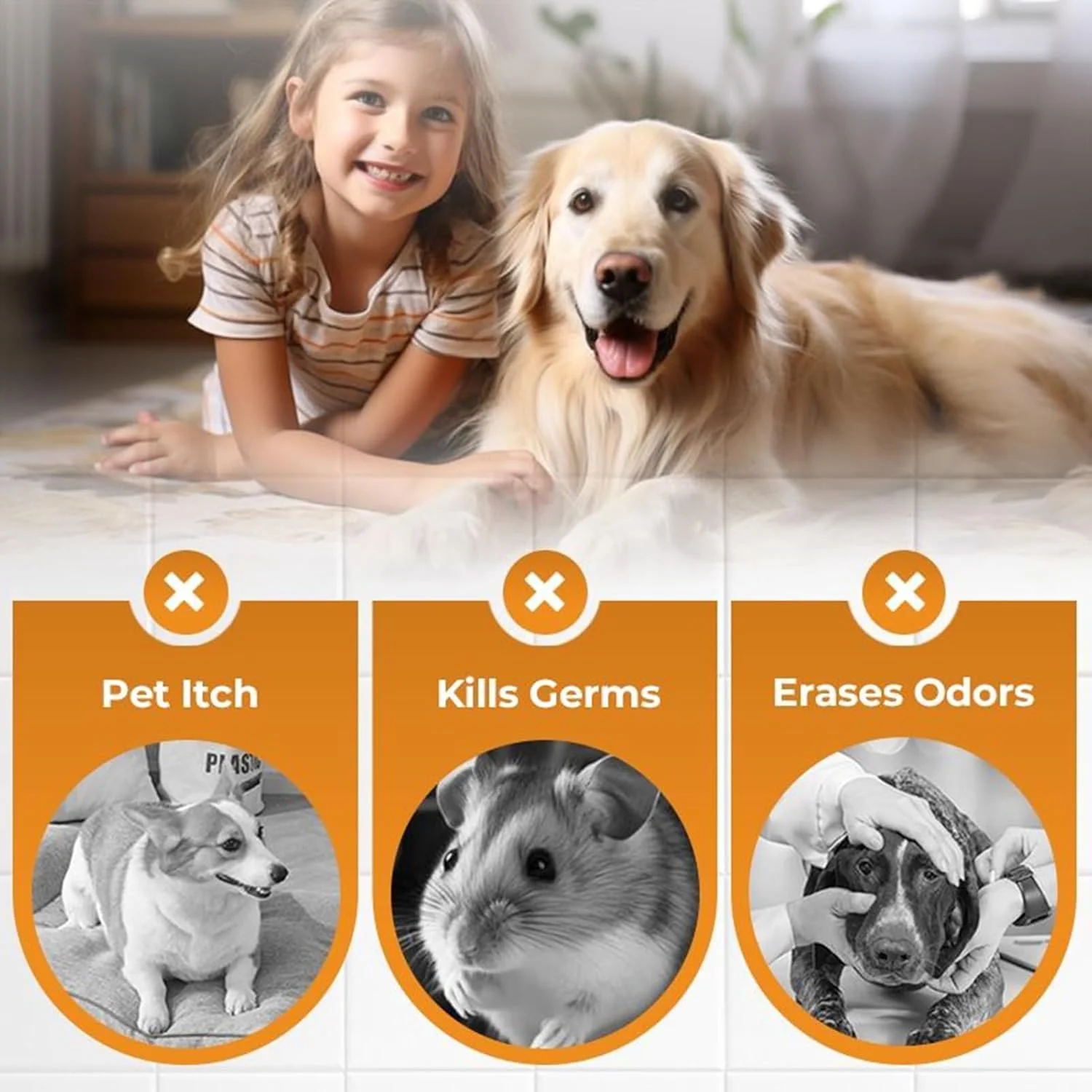 اسپری پرنده، از بین برنده بوی فرش 200 میلی لیتر - اسپری طبیعی و طراوت بخش برای بوی ادرار قفس، نشیمنگاه طوطی و عروس هلندی، فرش خانه توله سگ و بچه گربه اسپری پرنده، از بین برنده بوی فرش 200 میلی لیتر - اسپری طبیعی و طراوت بخش برای بوی ادرار قفس، نشیمنگاه طوطی و عروس هلندی، فرش خانه توله سگ و بچه گربه